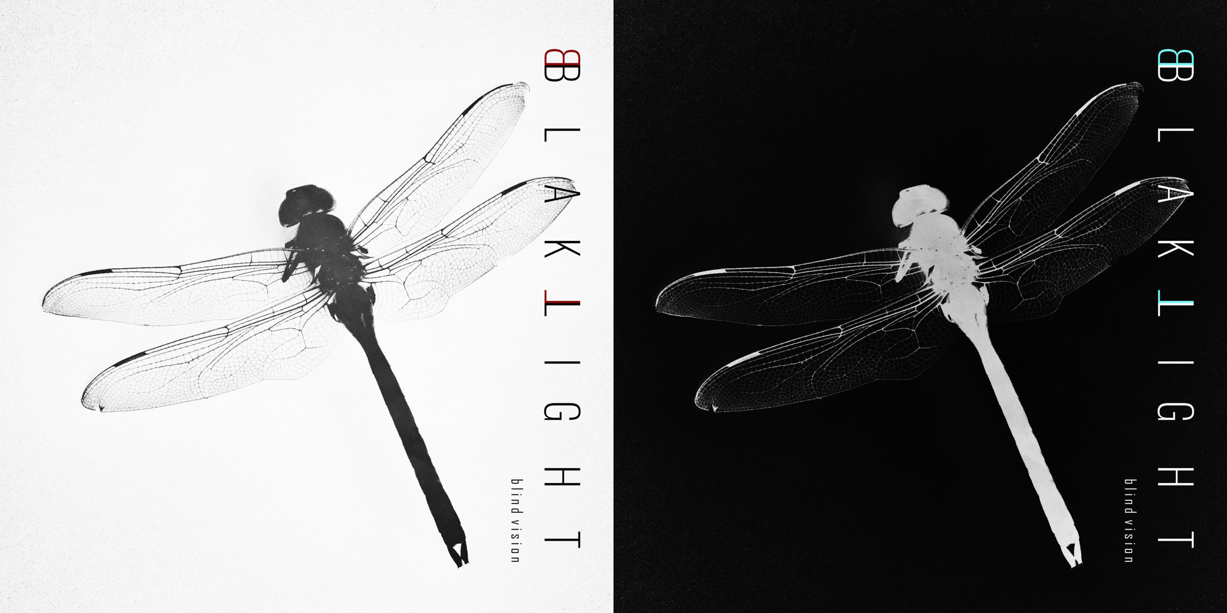 Cover art, featuring a dragonfly, for the three track single by Los Angeles based synth rock trio Blaklight, titled "Blind Vision."
